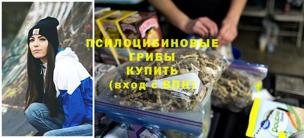 скорость Медвежьегорск